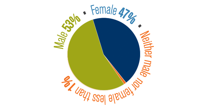 Pie chart 1.png